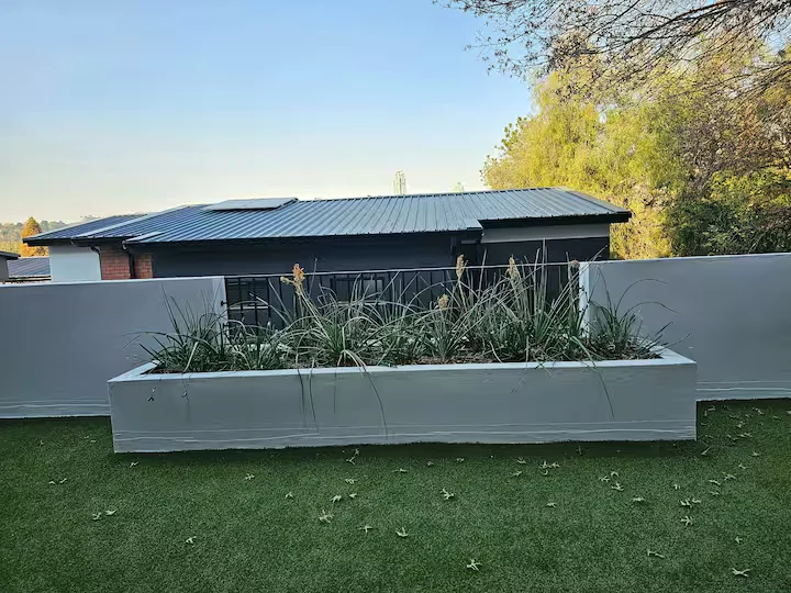 Garden area at The Madison in Hurlingham